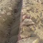 معلم حجر