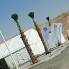 نحن نقوم بتوريد تركيب جميع انواع اشبوك وقسم خاص عرس نخيل