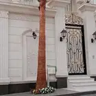 مقاول زراعه