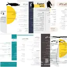 تصميم سيرة ذاتية احترافية ب15 ريال بس