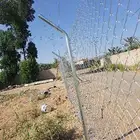 سياج شبوك