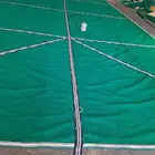 مضلات جميع الانواع