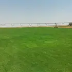 ثيل طبيعي C2000