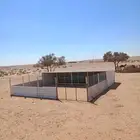 شبك حضاير للحلال