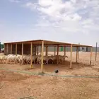 مضلات للحلال