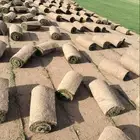 جميع انواع الثيل