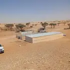 شبوك ومضلات للحلال