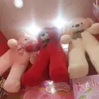 دب كبير