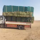 موجودبرسيم
