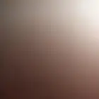 دجاج للبيع من انتاج المزرعه.