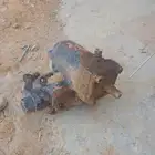 مجموعة طاره جيب 82 عادي