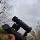 دربيل