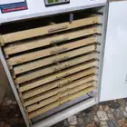 فقاسة (يدويه)