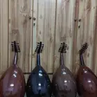 عود موسيقي تعليمي مصري شعبي درجه اولى آلات مو