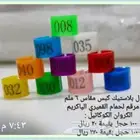 حجول كبس بلاستيك مقاس 6 ملم مرقم