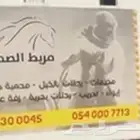 نقل خيل