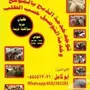 ذبيحتك مفصلة و موصلة لباب بيتك راجع التقييمات