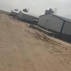 تركيب حضائر دواجن