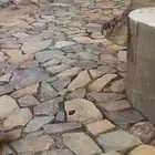 بنا حجر عشوائي ربراب