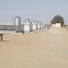حضاير اجار