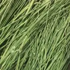 مرخ لمذاق أشهى لهواة الحنيذ