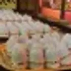قهوجي الرياض