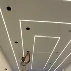 جبس بورد واسقف مستعاره