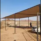مضلات الأبل المييزة
