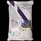 رمل قطط