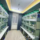 فندقة طيور و استقبال طيور