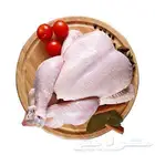 دجاج مبرد مقاس 1300