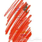 ستاير منجارو