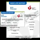 دوره الانعاش القلبي الرئوي bls-cpr