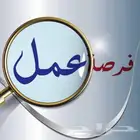 بناء ملفات والسيرة الذاتيه في مواقع التوظيف للخريجين