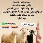 خرفان وتيوس وجذعات برية