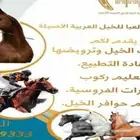 عسف وتشغيل للخيل