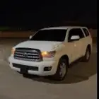 مطلوب سكويا