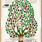 تصميم شجرة عائلة بجودة عالية لتتمكن من طباعتها بأي مقاس . ال