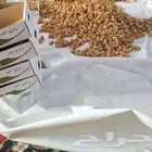 عمال خراف وهل وقص السكري