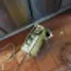 شركة تسليك مجاري حمامات مطابخ مطاعم احواش