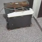 ابو عريش العسيلة