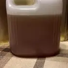 850 جرام عسل سدر ممتاز