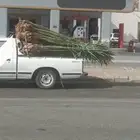 يوجد لدينا جميع انواع انخيل