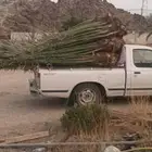 يوجد لدينا جميع انواع انخيل