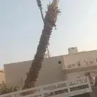يوجد لدينا جميع انواع انخيل