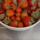 مجانا شتلات فراولة بلدي خميس مشيط