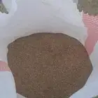 بذر بلوبنك إنتاج جديد الكيس 20 كيلو