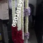 فل صبيا  جيزانيات_جيزانيه_جازان_ابوعريش__صامطة_صامطه_الطوال