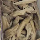 مروكي طبيعي آصقون