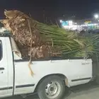 يوجد لدينا جميع انواع انخيل